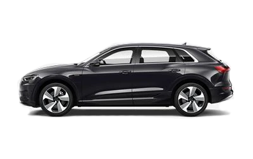 Performance 55 Quattro